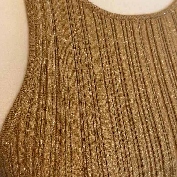 madewell | gold glitter metallic ribbed high neck tank top - Picture 2 of 6